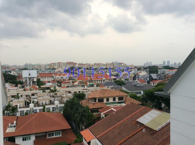 iSuites @ Palm (D19), Apartment #123534072